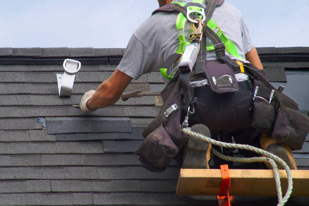 Best Roof Gutter Cleaning  in Lyford, TX