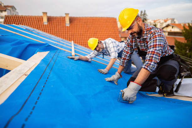 Best Flat Roof Repair Services  in Lyford, TX