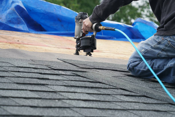 Best Metal Roofing Contractor  in Lyford, TX