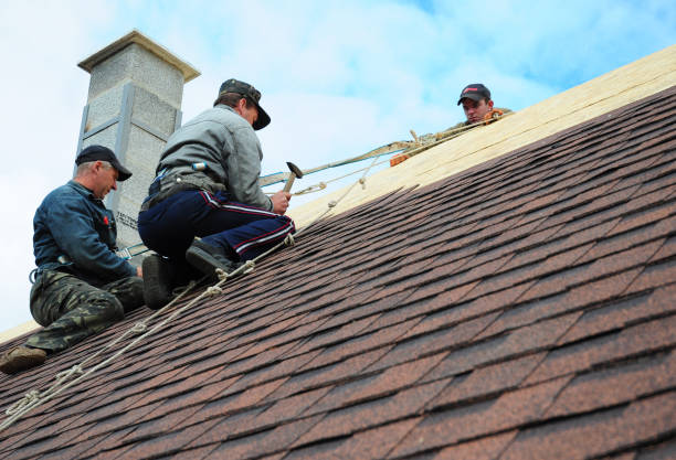 Best Roof Waterproofing Services  in Lyford, TX