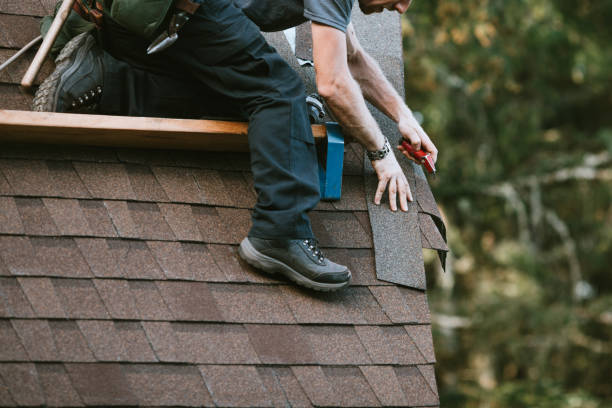 Roof Gutter Cleaning in Lyford, TX